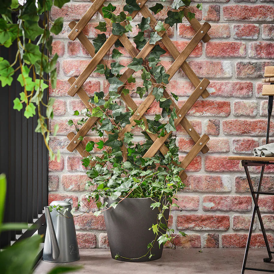 ASKHOLMEN Trellis, dark brown